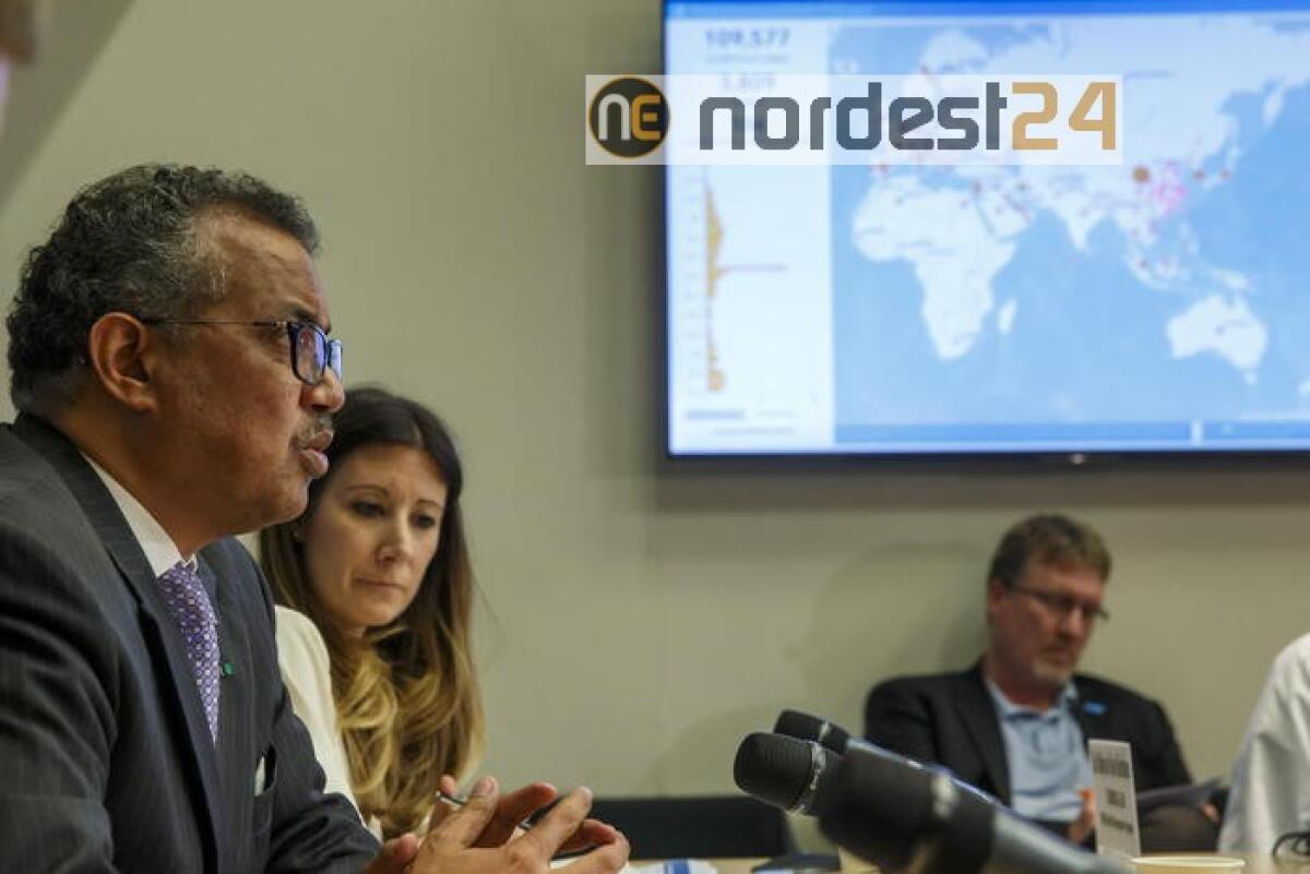 Oms, sì a inchiesta a momento opportuno - 