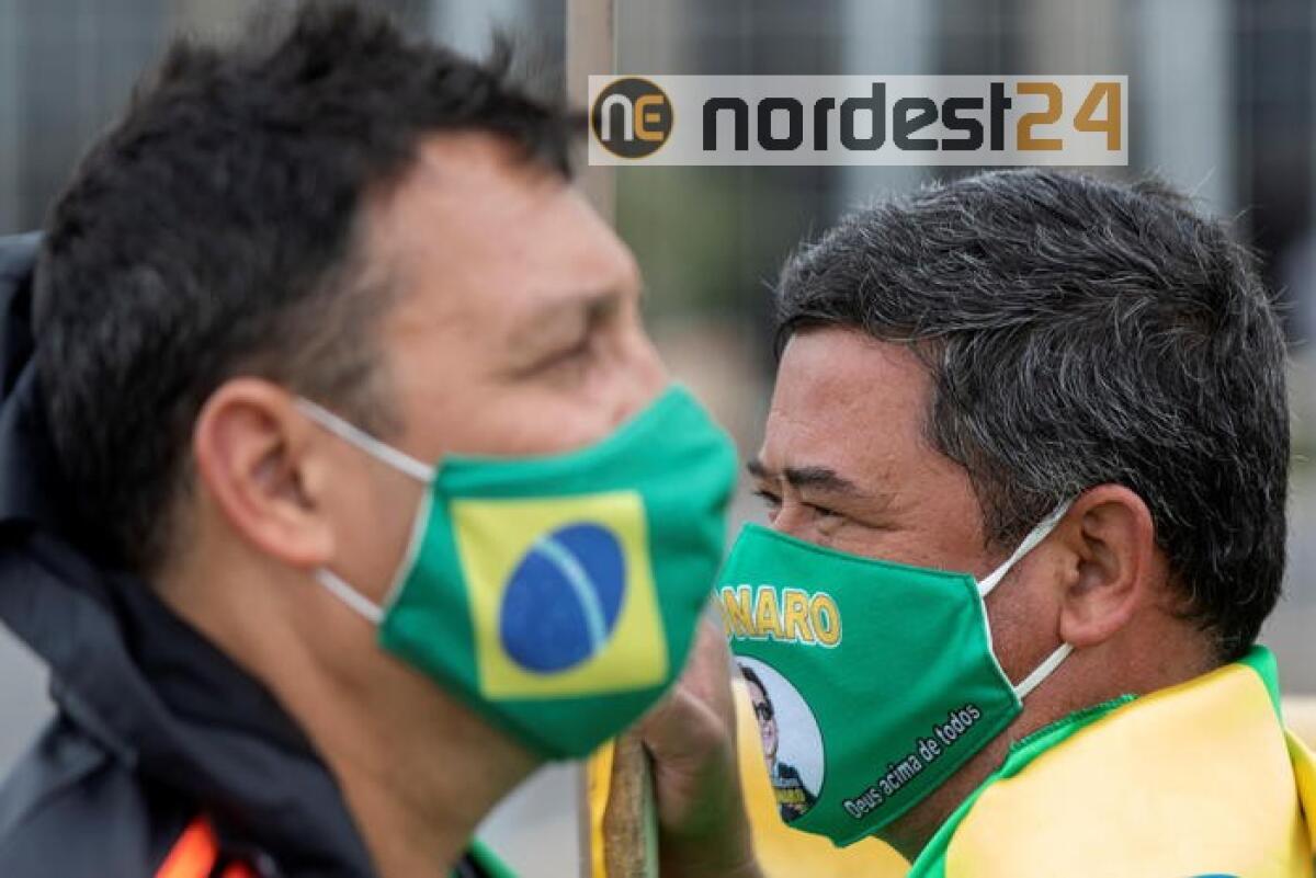 Coronavirus: 241 mila contagi in Brasile - 