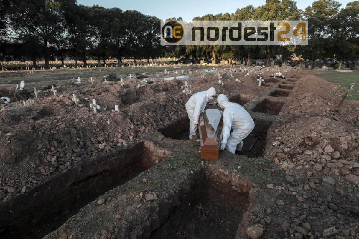 Virus, America Latina: 50mila i morti - 