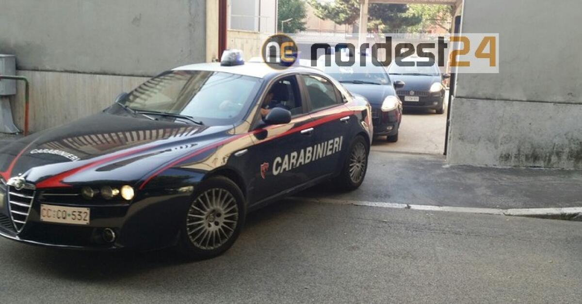 Uccide fratello durante lite, arrestato - 