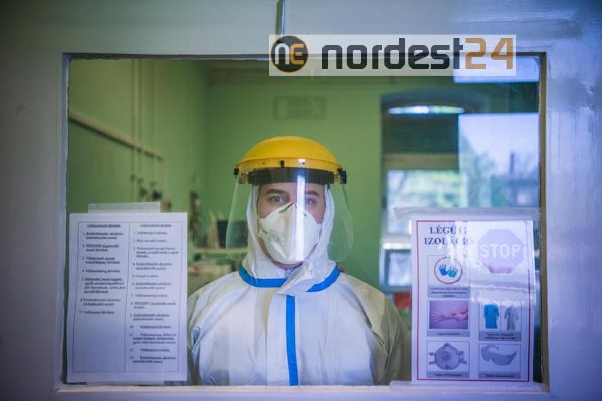 Coronavirus: 5 milioni di casi nel mondo - 