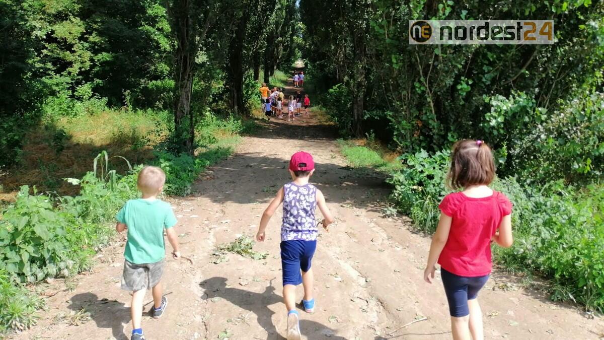 In Fvg centri estivi anche da 0 a 3 anni, tolto l'obbligo dei tamponi - 