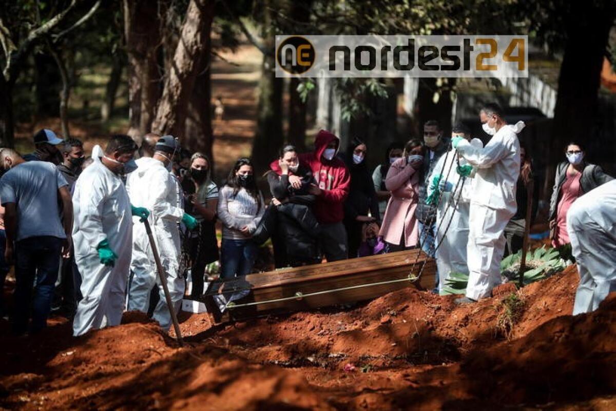 America Latina, 543.000 contagi - 