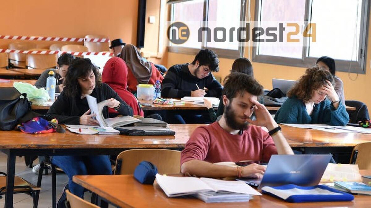 "Niente studio all'estero per 300mila" - 