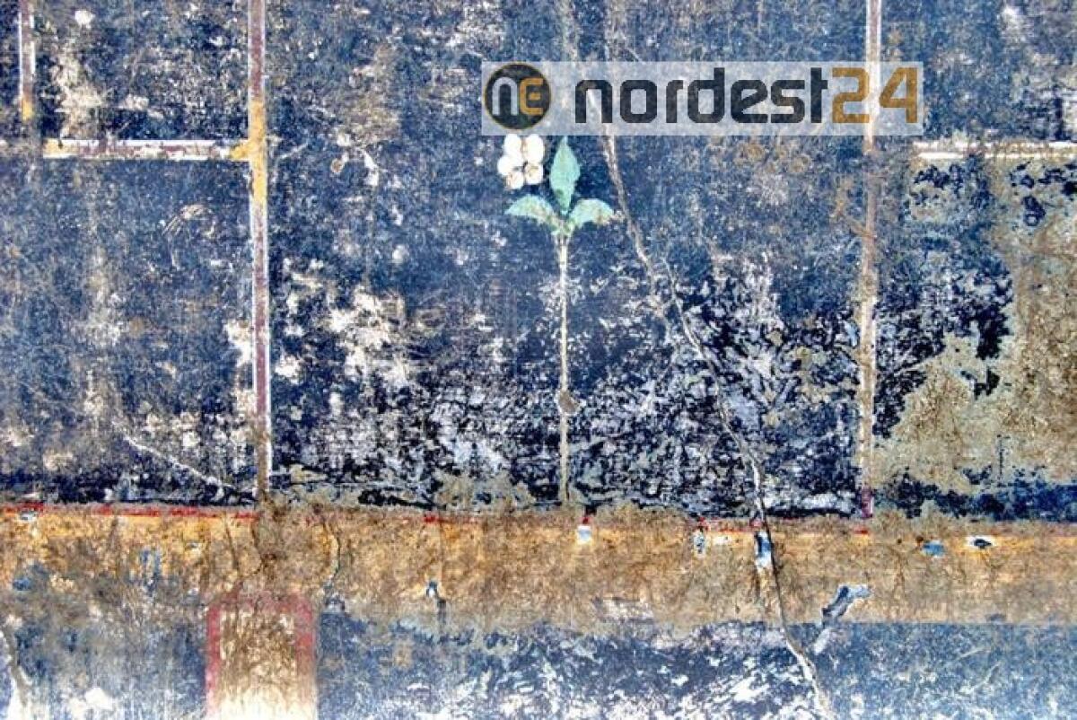 A Pompei il mistero della piccola Mummia - 