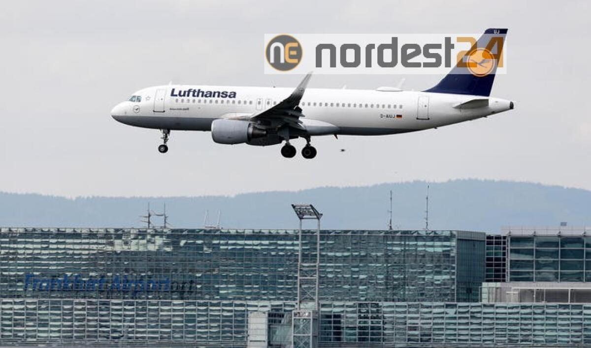 Cina, tornano primi lavoratori tedeschi - 