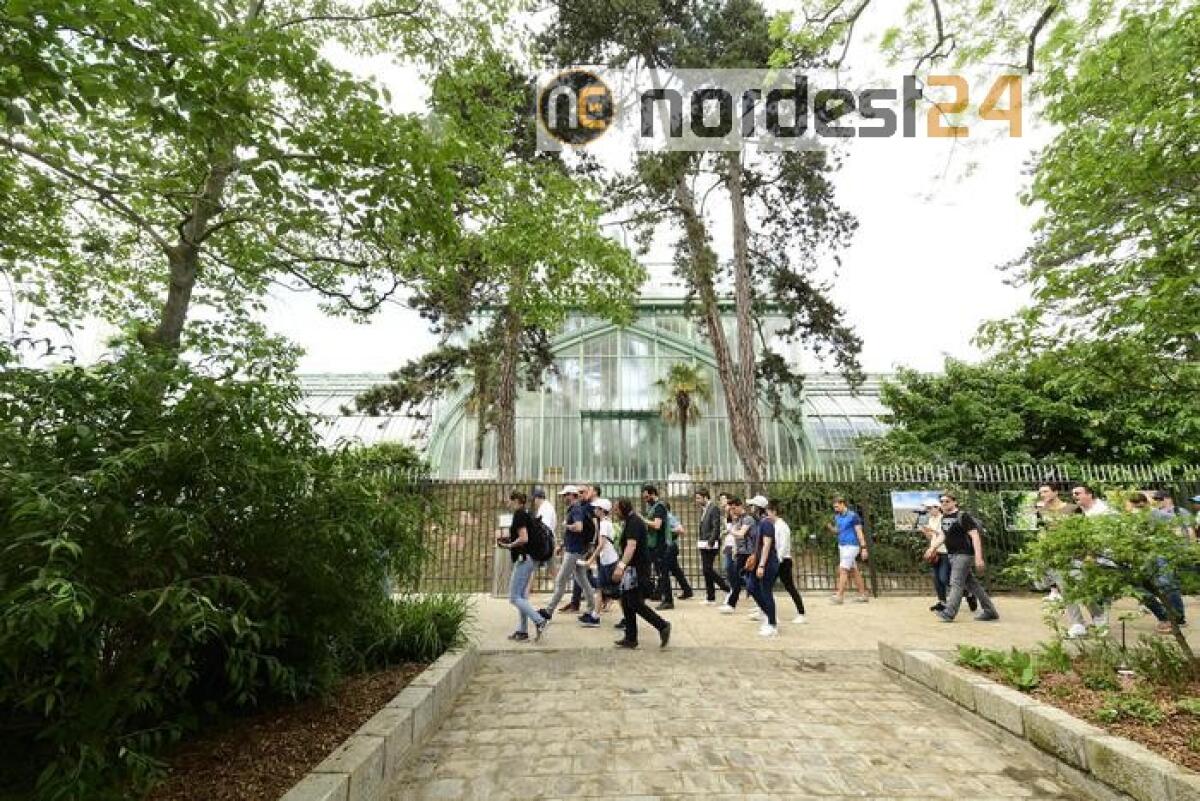 Macron, strada giusta contro il virus - 