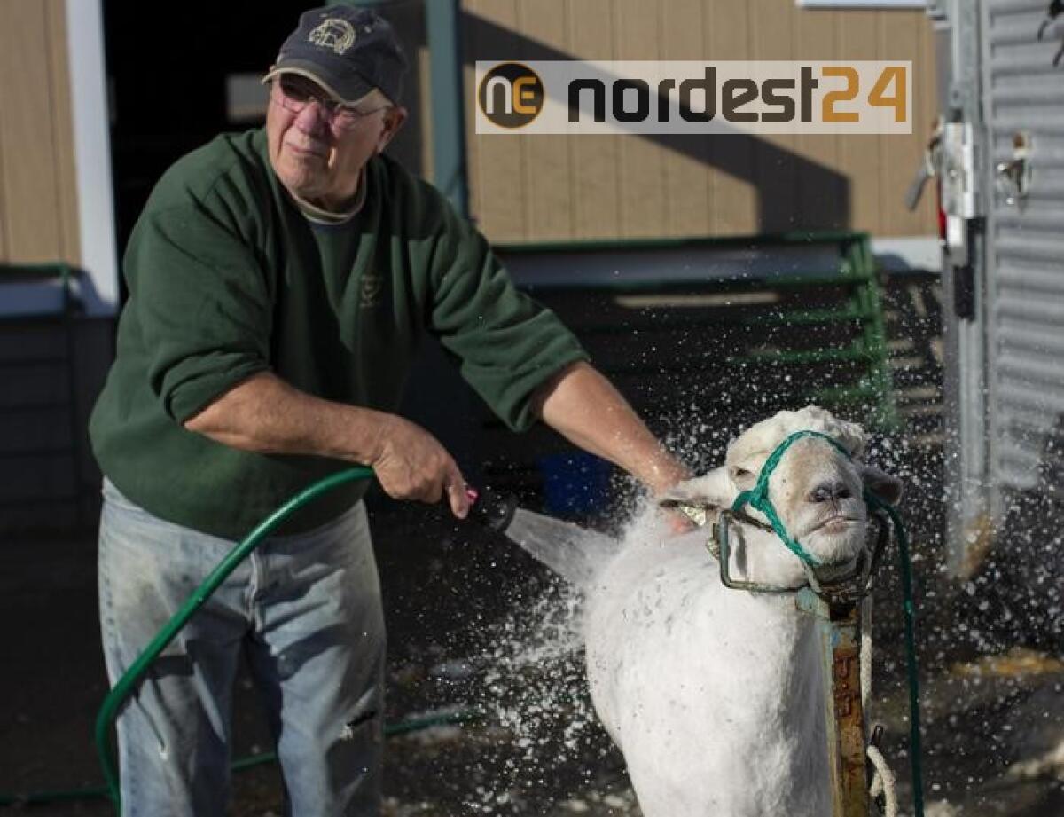 Usa acquistano 3 mld merci agricoltori - 