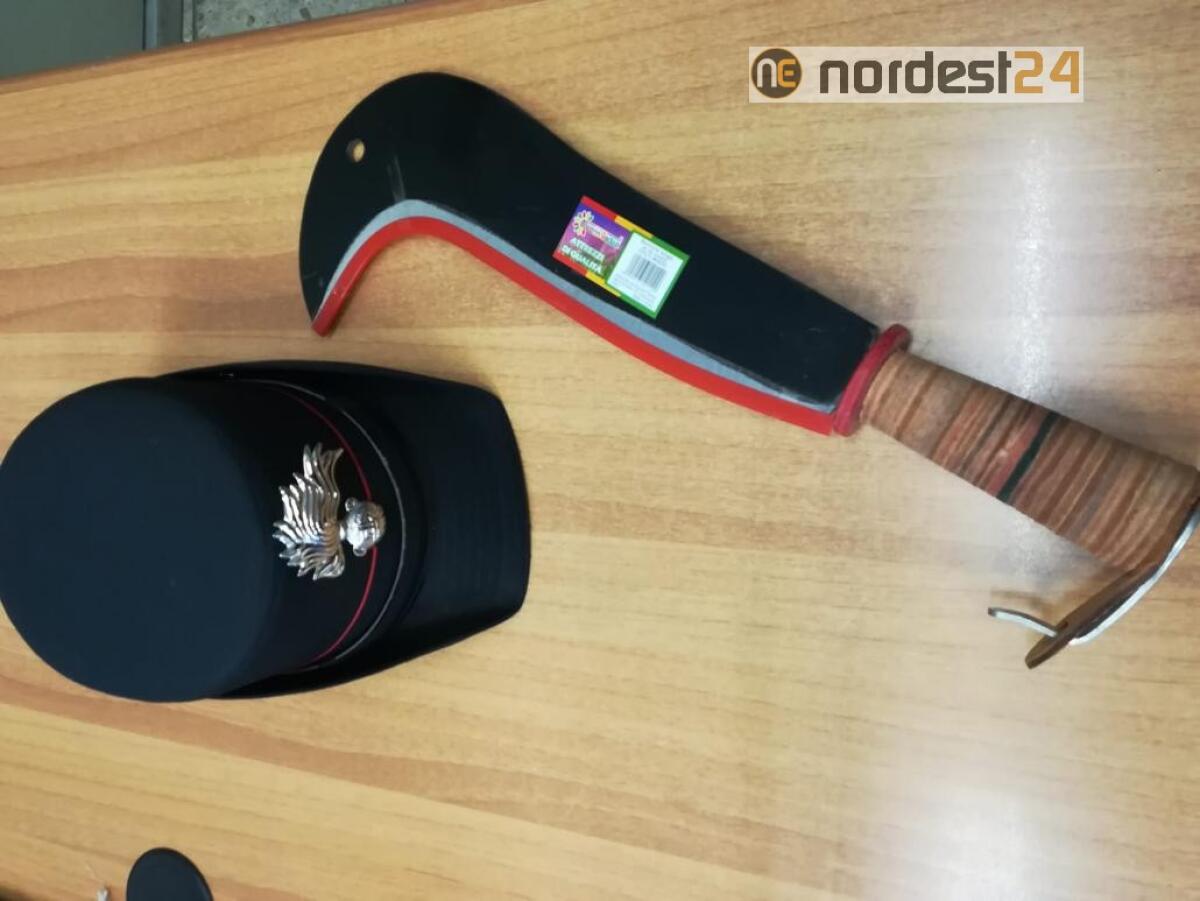 Vicenza. Va in tribunale con una roncola: avvocato denunciato - 