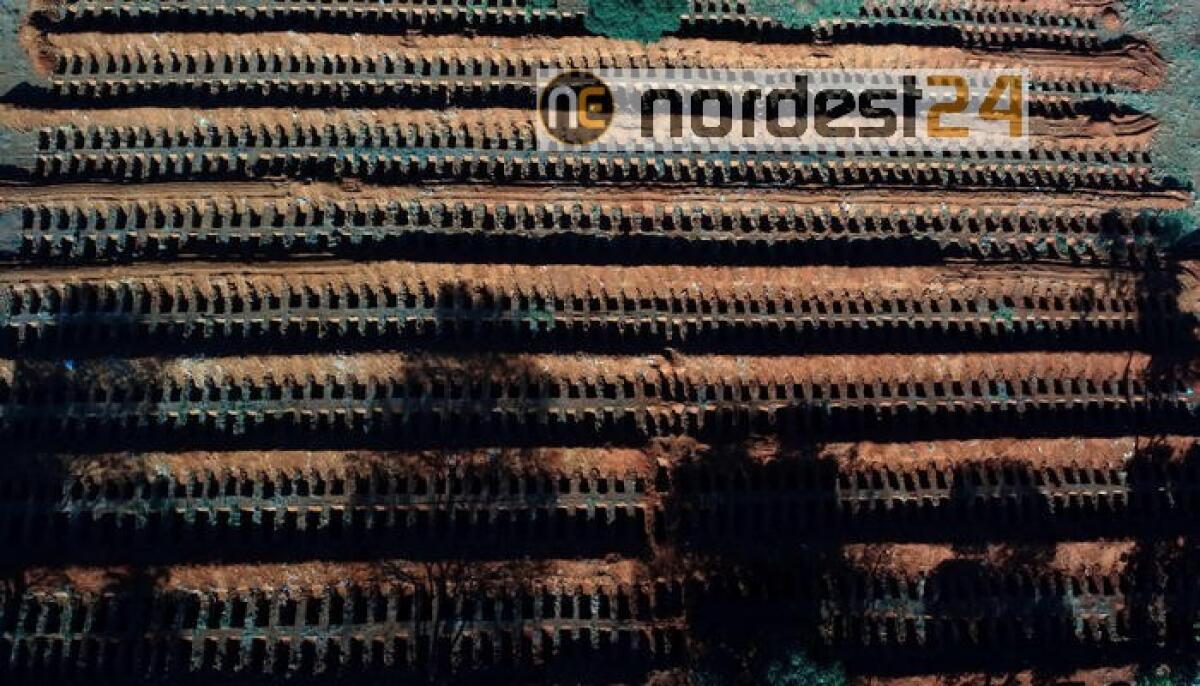 Virus, America Latina: 800.000 i contagi - 