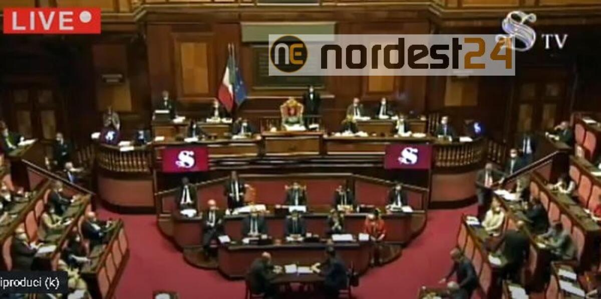 Dl scuola in Aula Senato - 