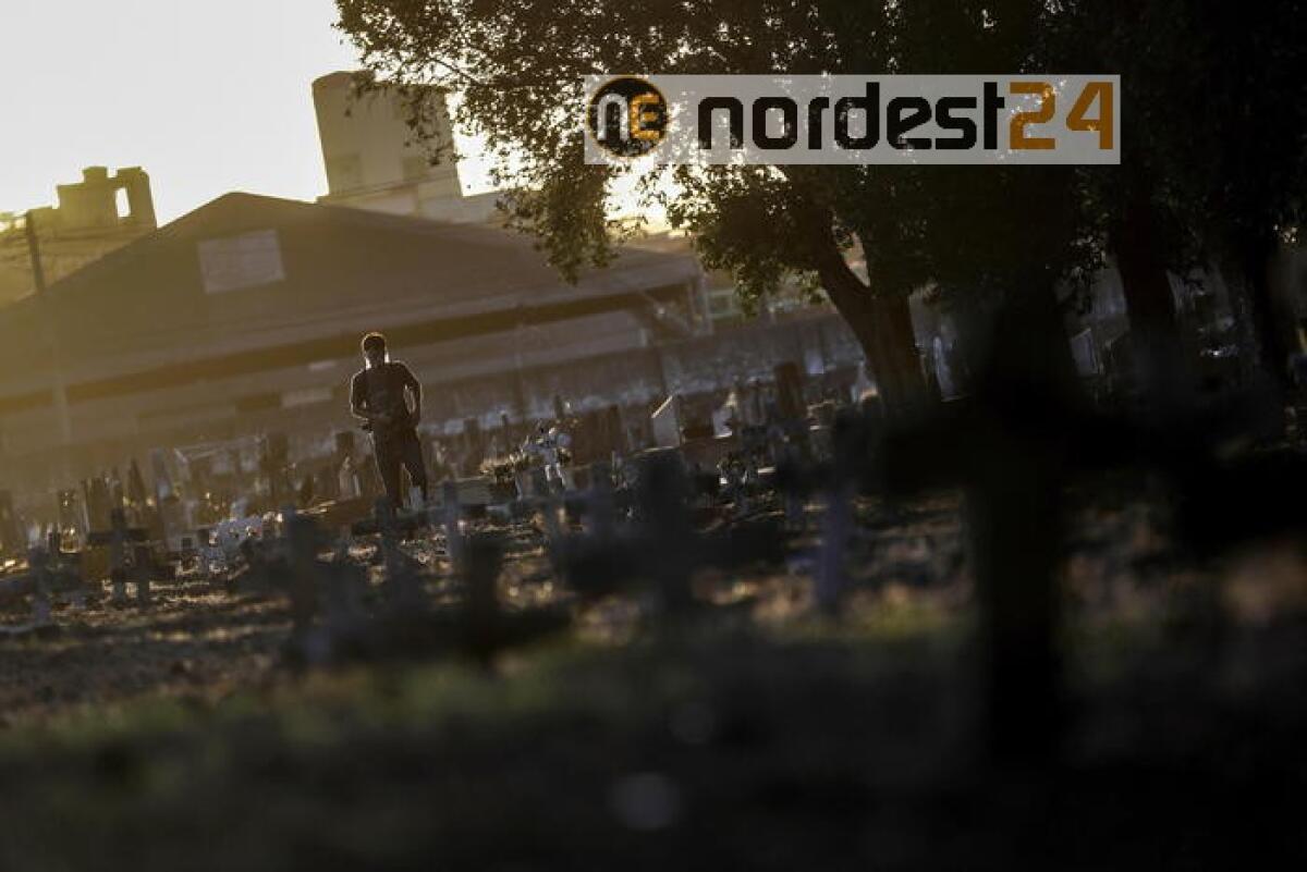 Virus, Brasile quarto al mondo per morti - 