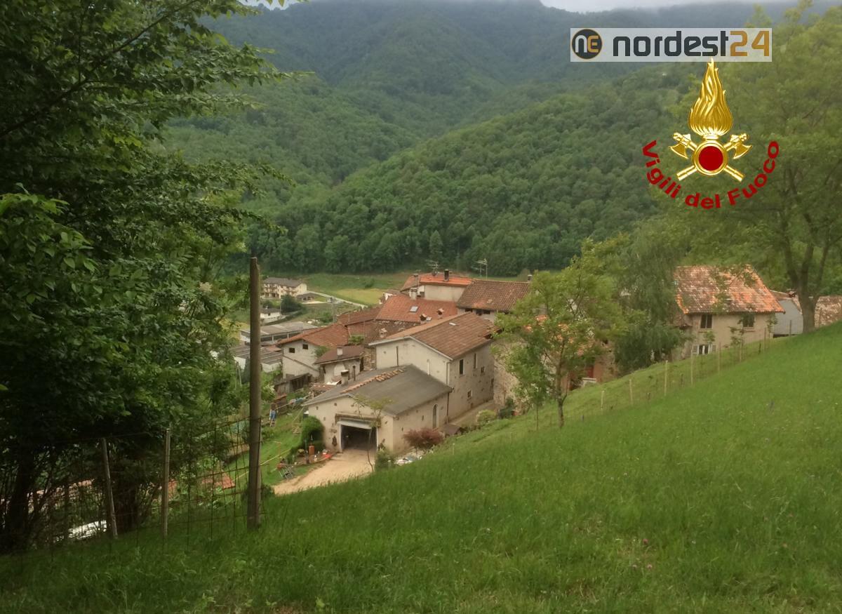 53enne muore travolto da un albero - 