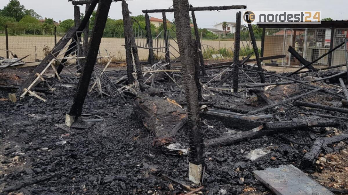 Eraclea. Incendio in un maneggio: morti 4 cavalli, ustionati proprietario e figlia - 