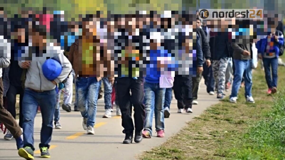Emergenza migranti: oltre 160 rintracciati tra Basovizza e città - 