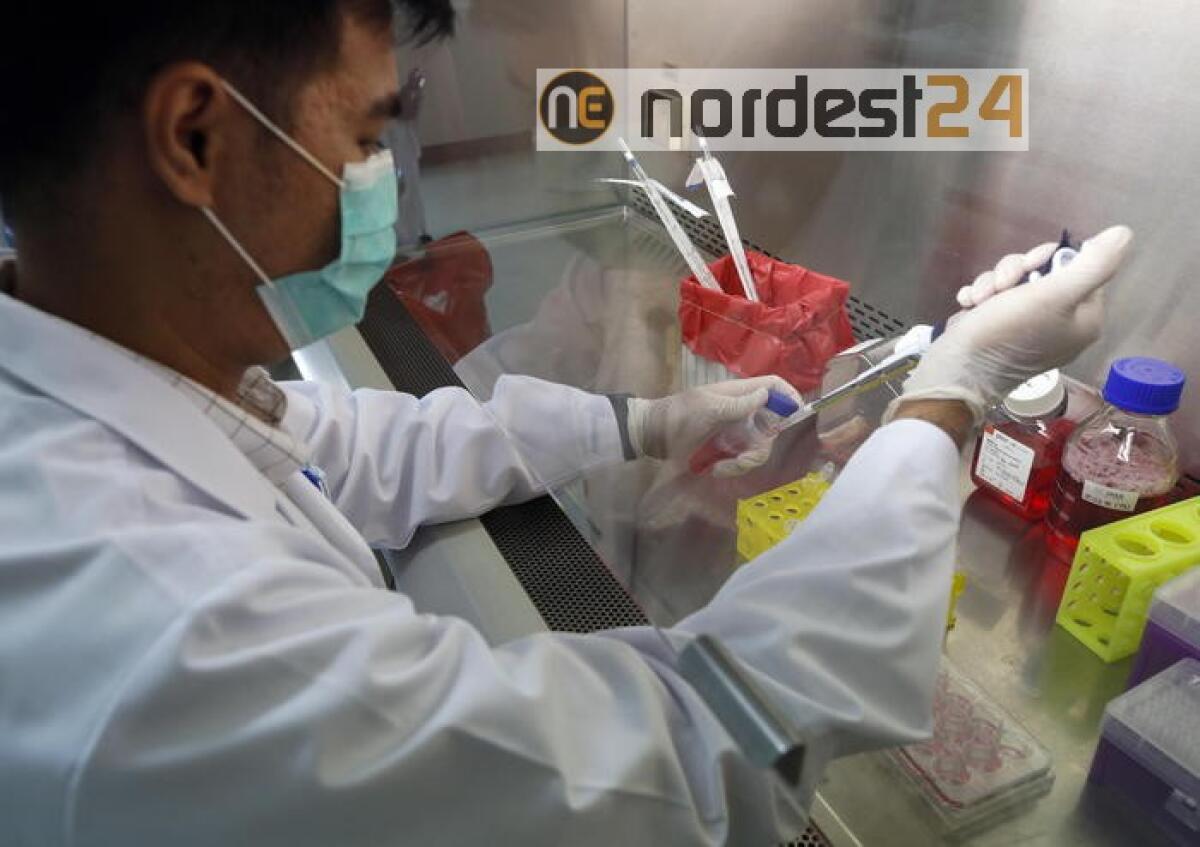 Fbi, la Cina vuole rubarci il vaccino - 