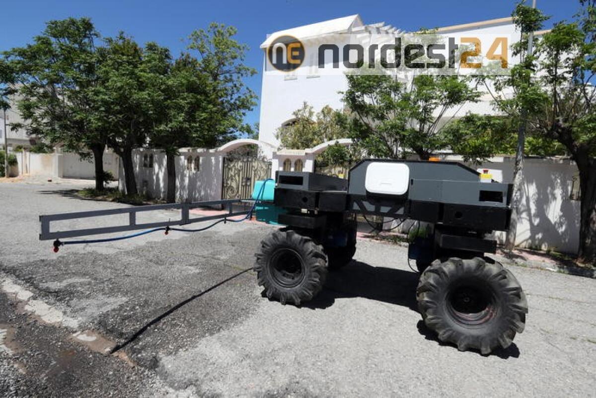 Coronavirus:Tunisia,un nuovo caso in 24h - 