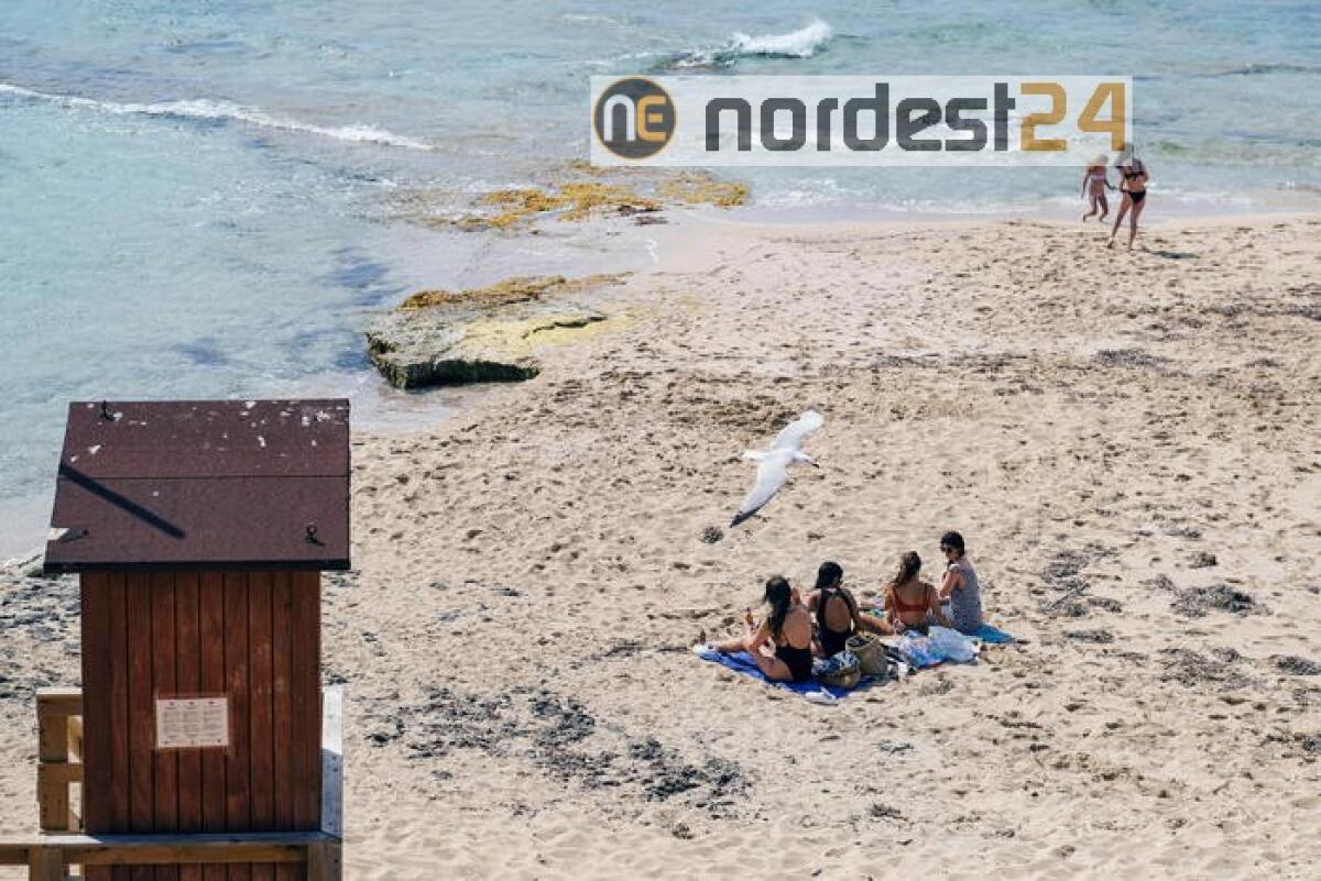 Coronavirus: Spagna,media 45 casi/giorno - 