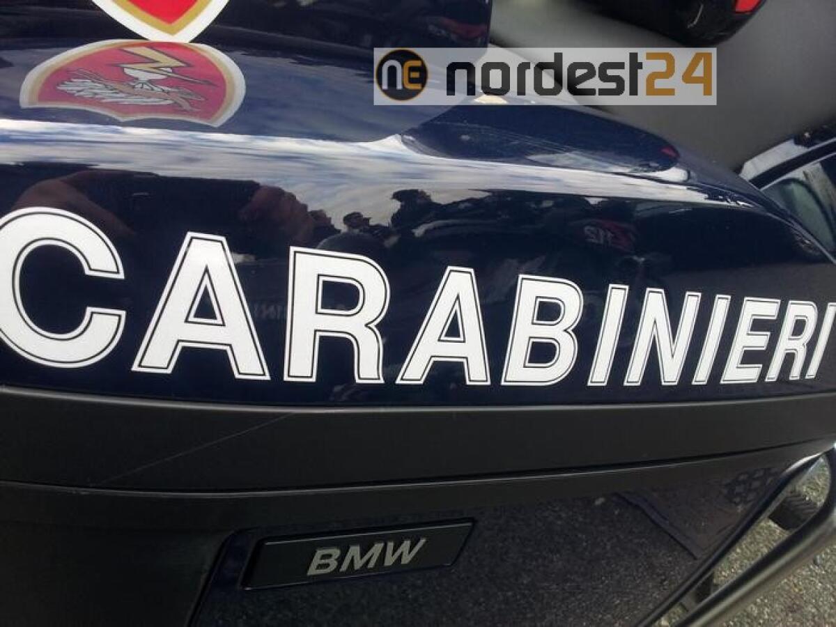 R.cittadinanza senza requisiti, denunce - 