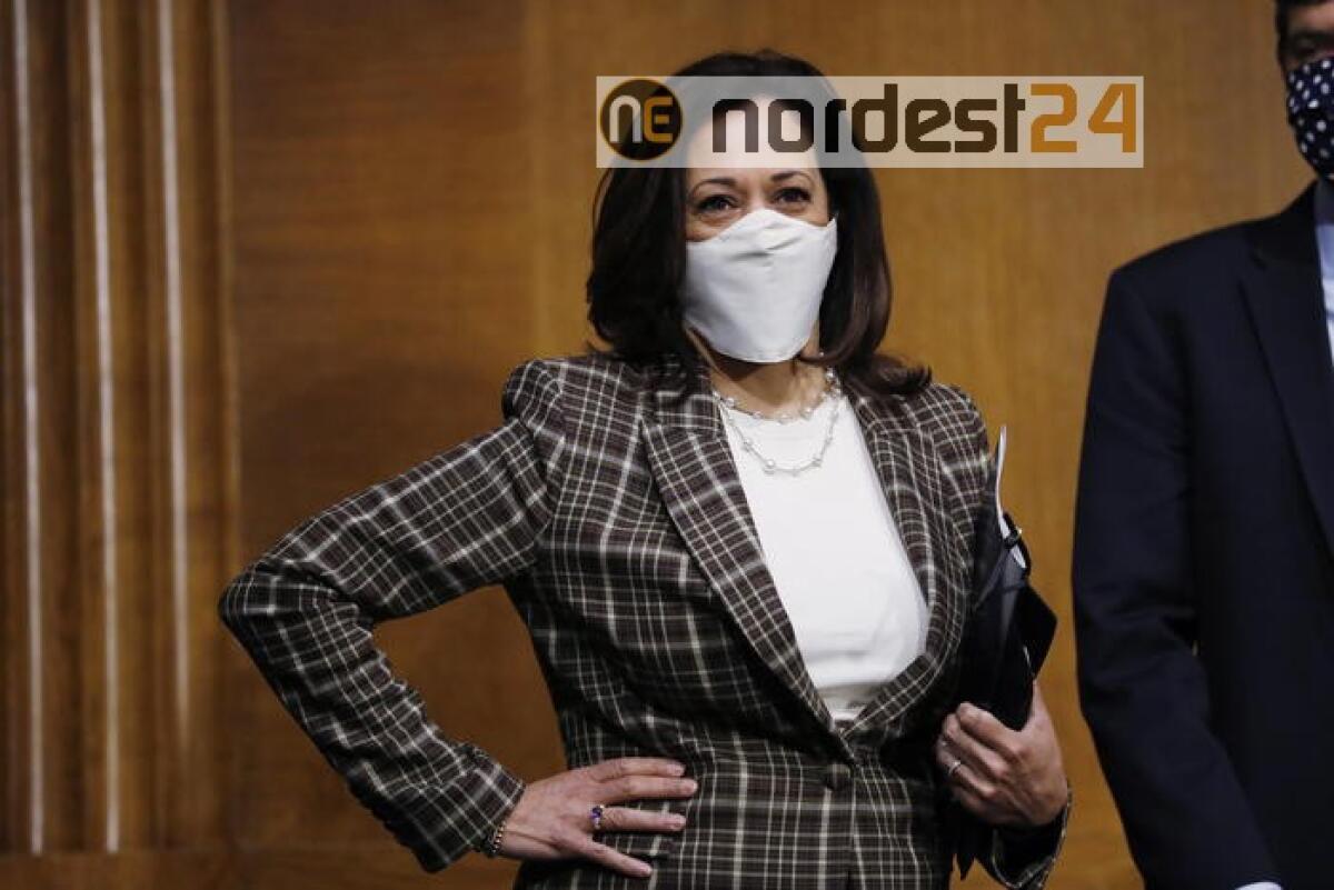 Usa 2020: Harris in pole come vice Biden - 