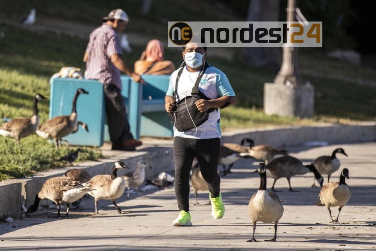 Coronavirus: Usa, oltre 96.000 morti - 