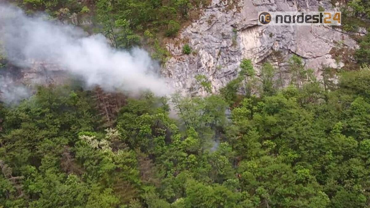 Incendio boschivo a Longarone: operazioni difficoltose - 