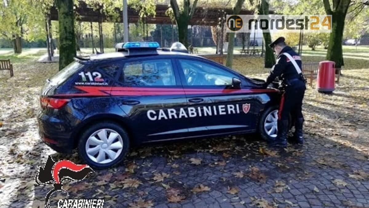 Festa al parco con musica e alcolici senza mascherine: 15 sanzioni - 