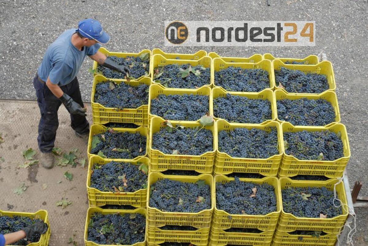 Migranti:Orfini,da M5s posizione assurda - 