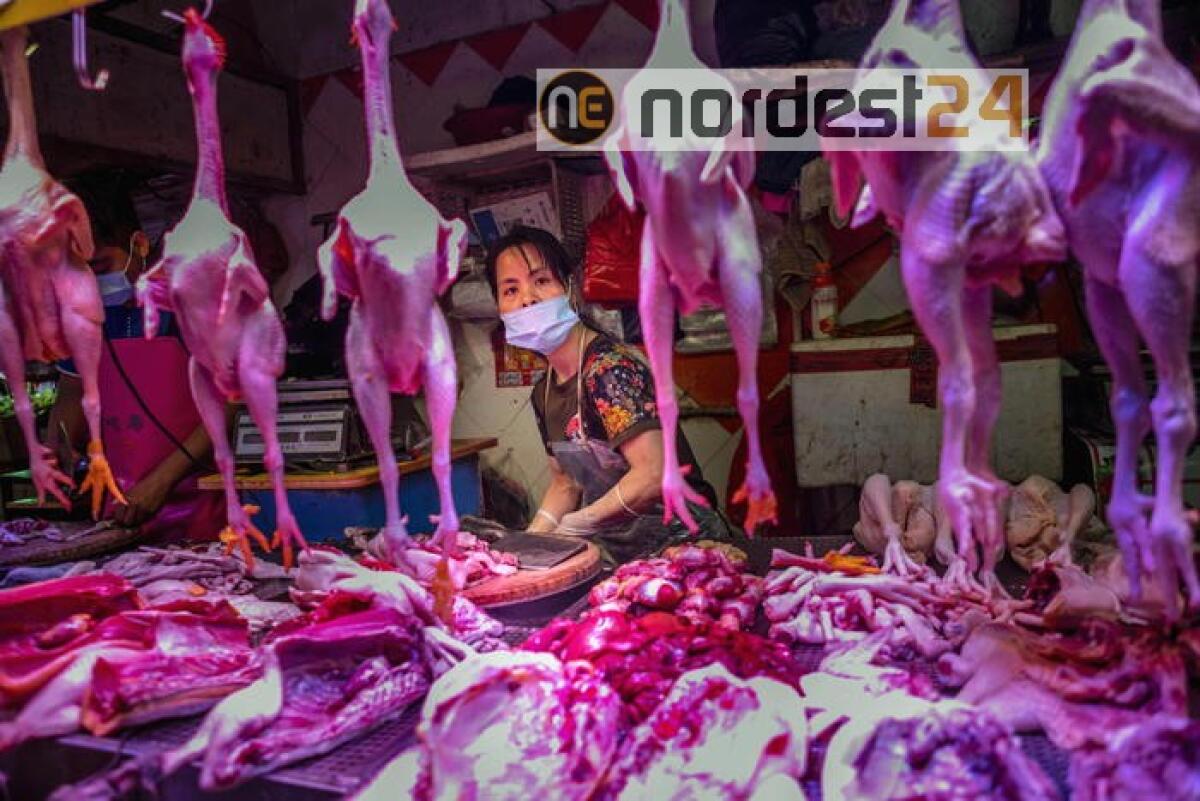 Wuhan vieta carne selvaggina per 5 anni - 