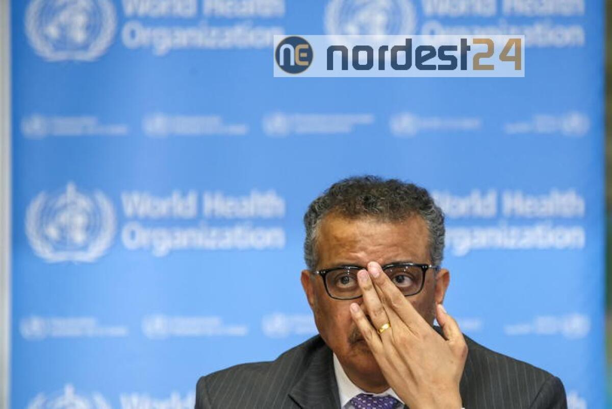 Ue, 'Trump? Noi sosteniamo l'Oms' - 