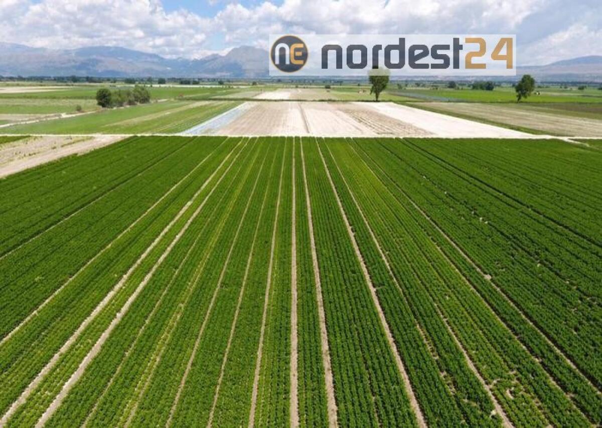 Regolarizzazioni, lunedì via a domande - 