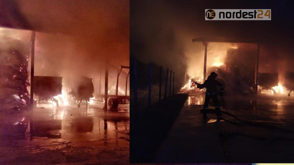 Incendio di un fienile a Campagna Lupia (VE): salvati 200 bovini - 