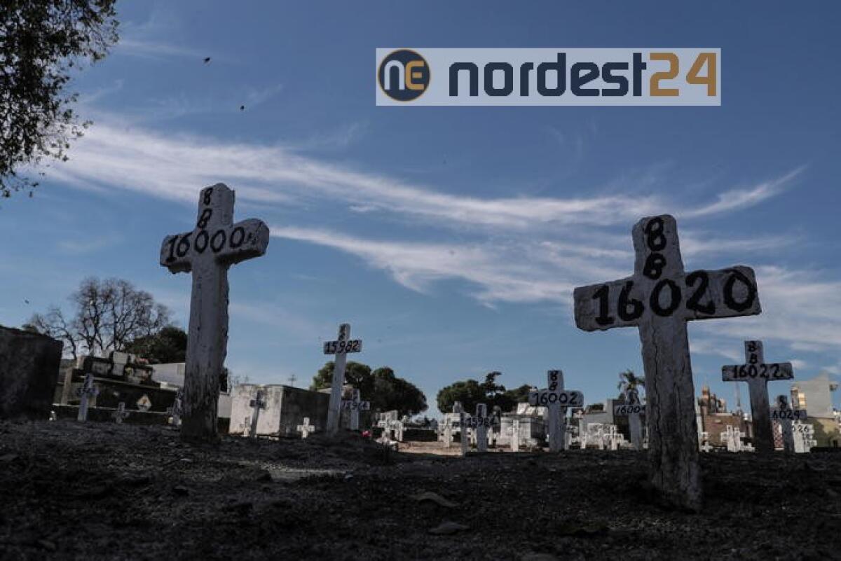 Virus, America Latina: 105mila i morti - 