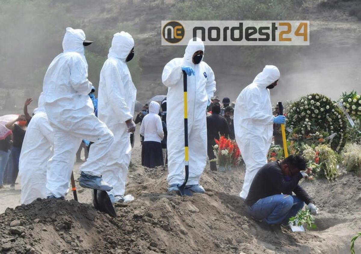 Coronavirus: Sudamerica, 1,4 mln casi - 