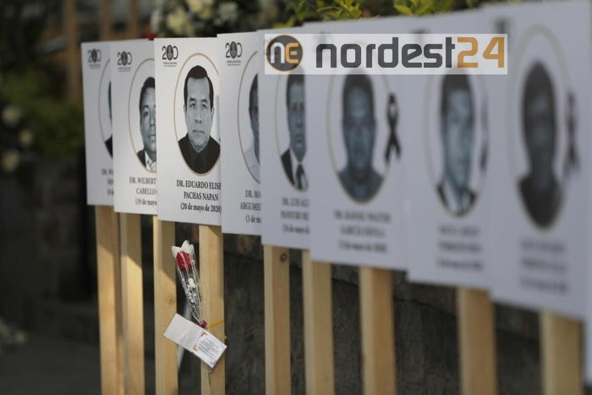 Coronavirus:Sudamerica,1.354.000 contagi - 