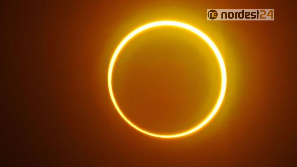 Il video dell'Eclissi solare, 21 giugno 2020 - 