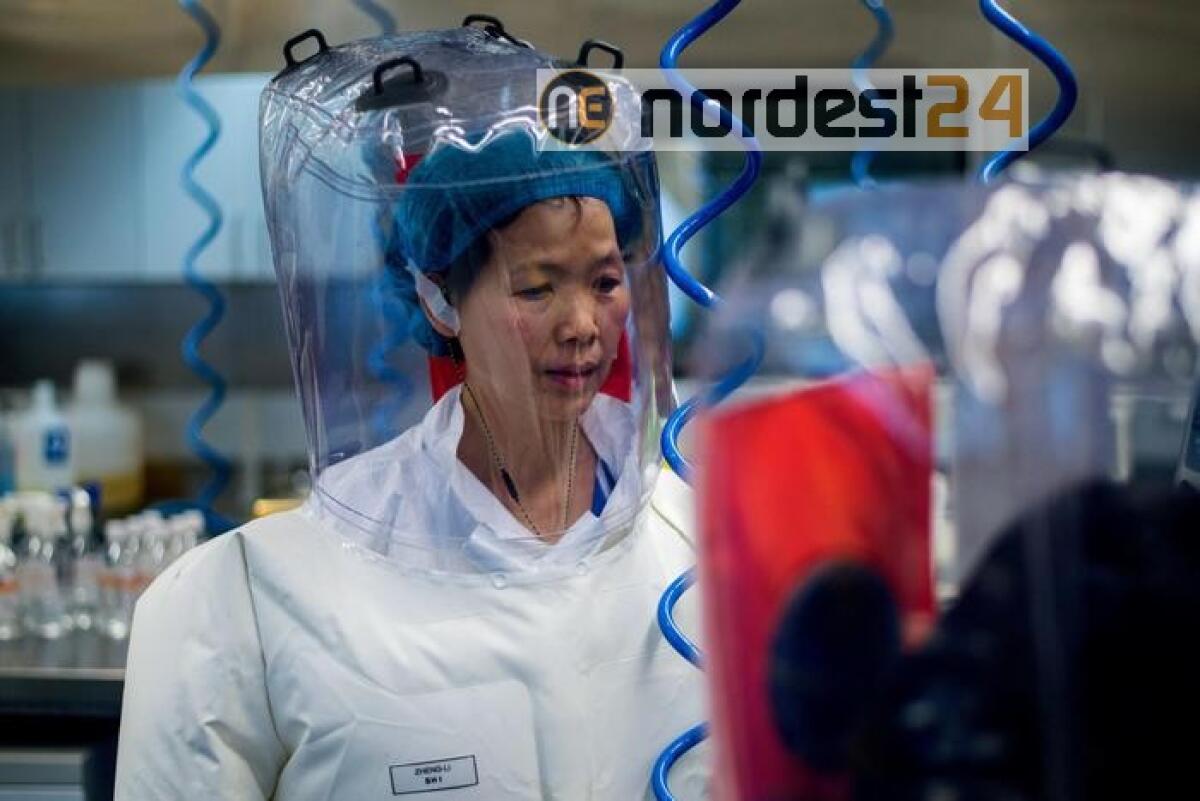 Coronavirus: Cina, 16 casi importati - 