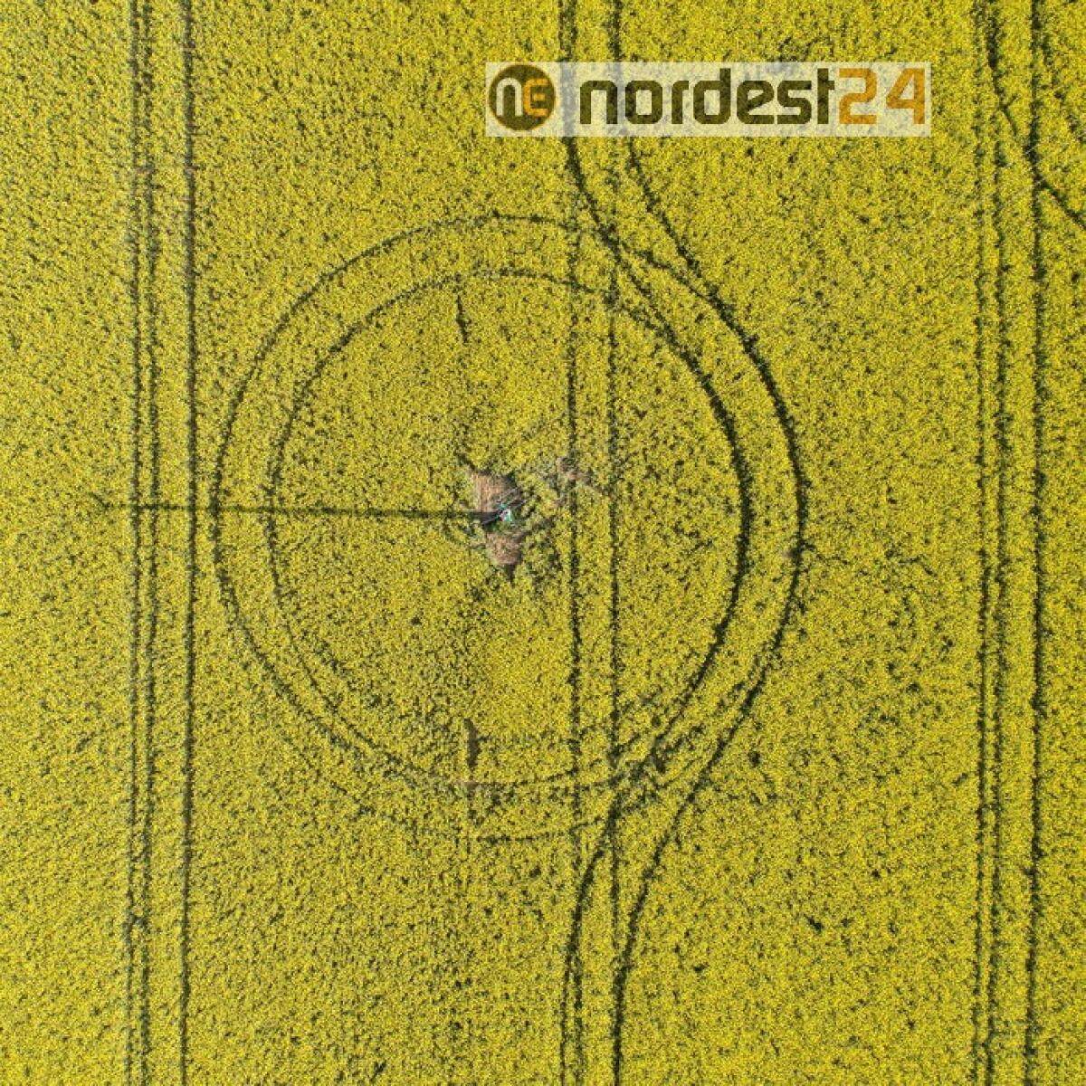 Istat:bilancio sostenibilità solo per 4 imprese su 100 - 