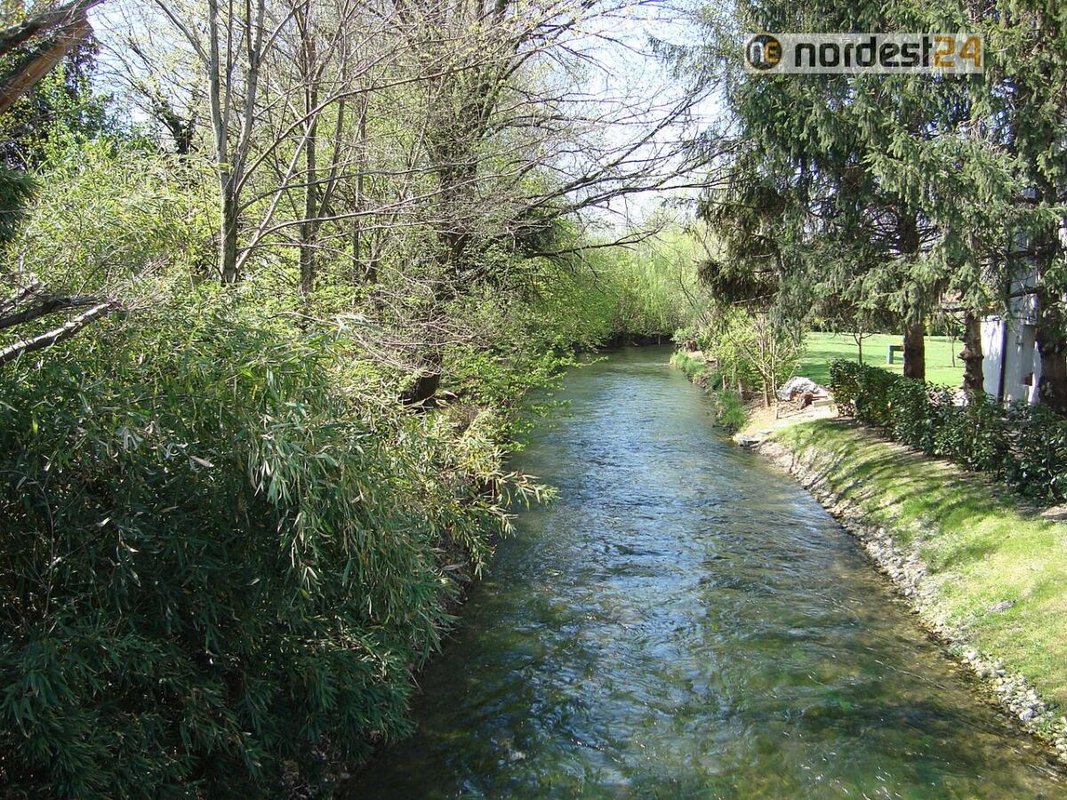 Fiume Veneto. Nuovo percorso naturalistico sul fiume "Fiume" - 
