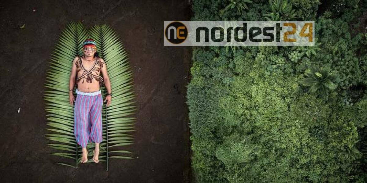 Fotografia: la resistenza indio scatto dell'anno Sony Awards - 