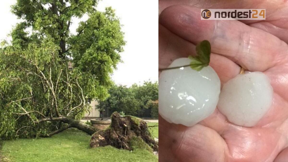 Maltempo a Nordest: temporali forti, grandinate e trombe d'aria - FOTO - 