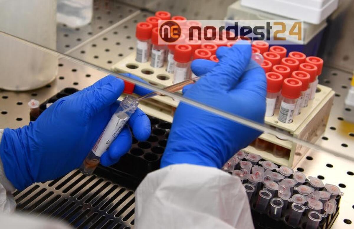 Oms,raro asintomatico trasmetta Covid - 