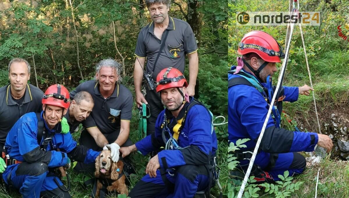 Trieste. Cade in una grotta: Cocker salvato dopo 24 ore dai pompieri - 