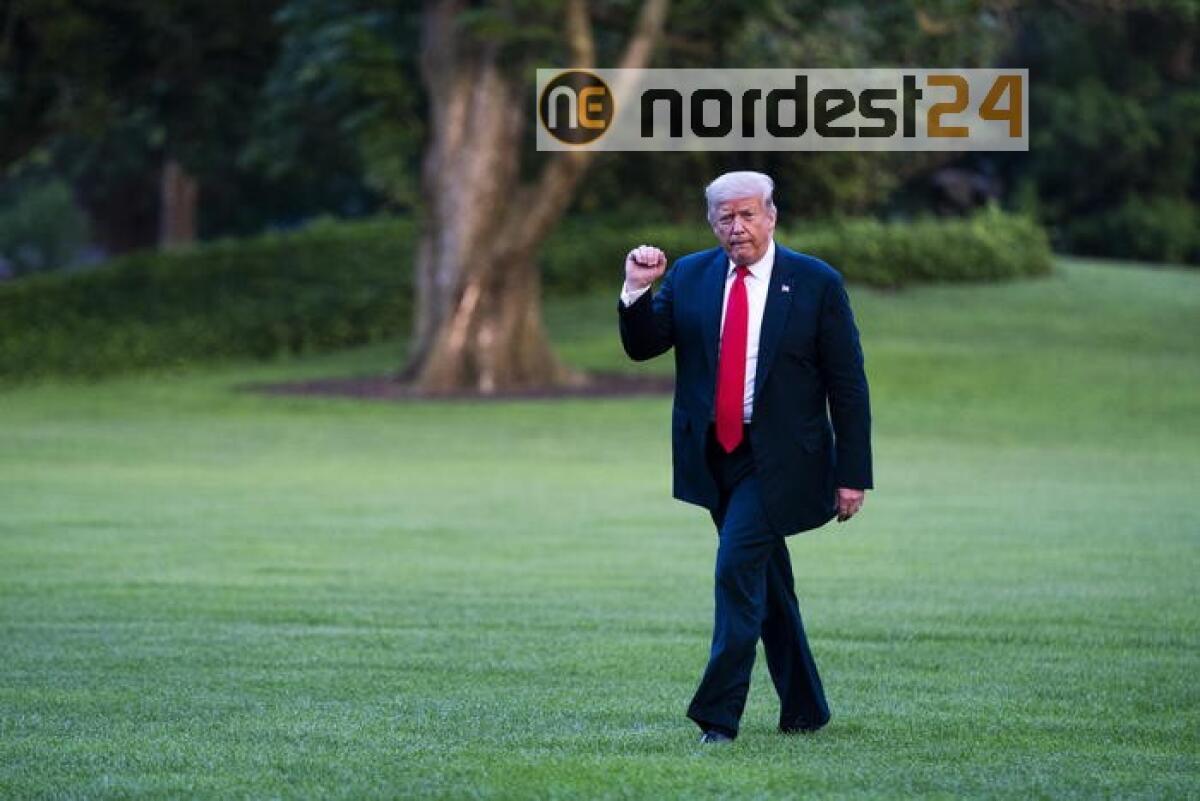 Usa 2020: Trump,votato in guerre mondiali, votiamo con virus - 