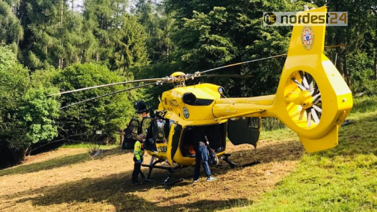 Boscaiolo travolto da una pianta: elitrasportato all'ospedale - 