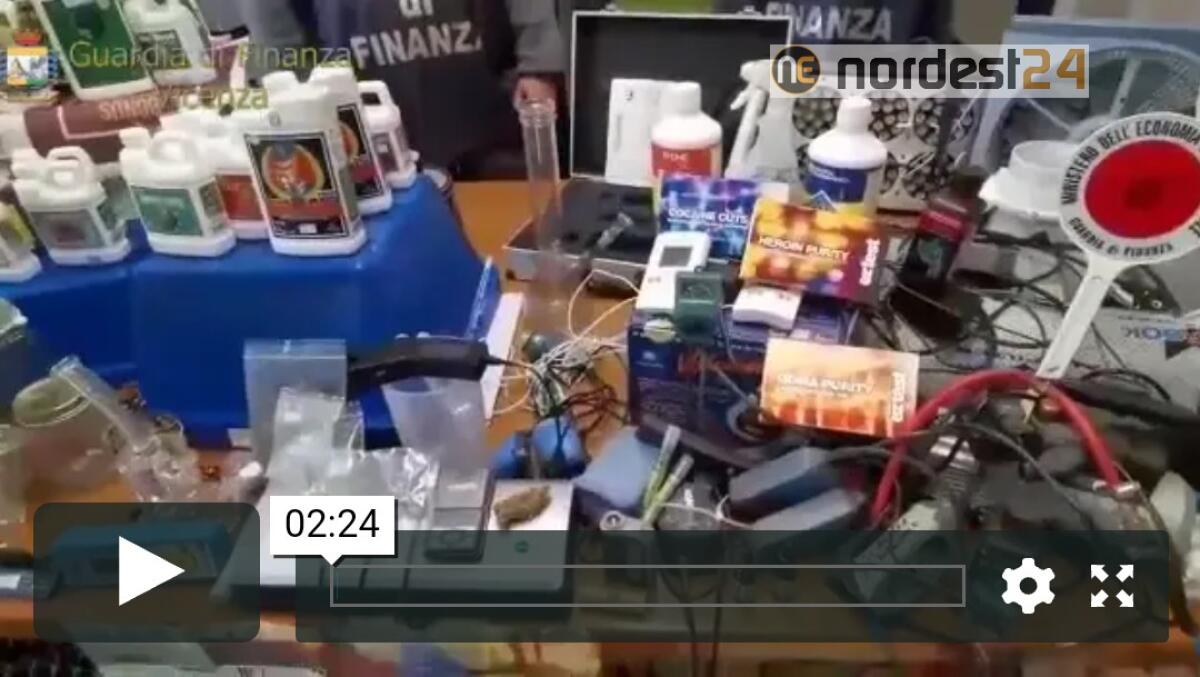 Una serra professionale per cannabis in centro città: denunciato - 