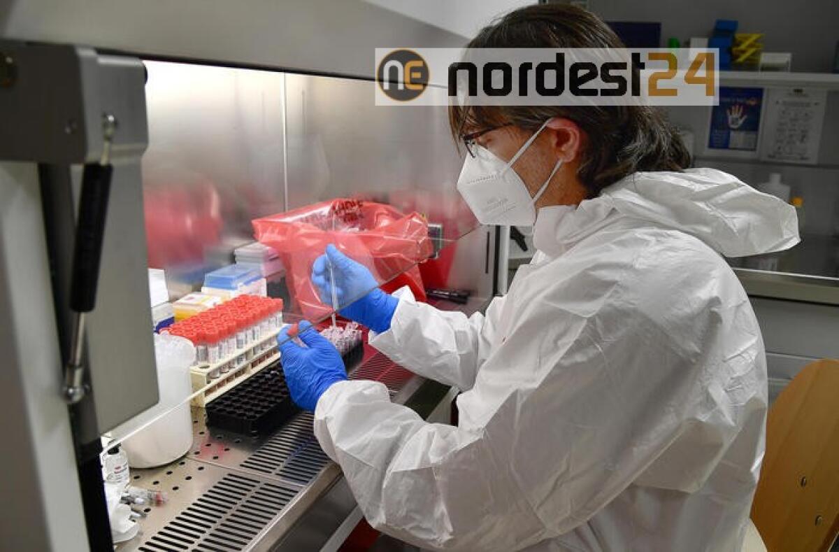 Coronavirus: +338 contagi,dato stabile - 