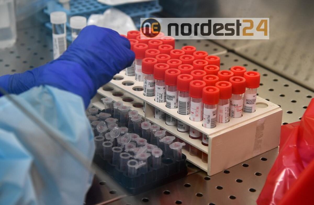 Covid: risalgono contagi,85 morti in 24h - 