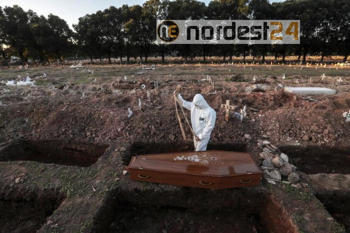 Coronavirus, Brasile: 500mila i contagi - 