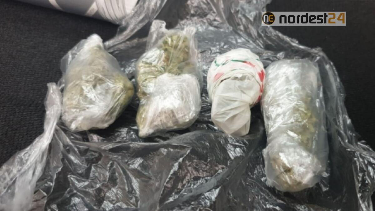 Trieste. Padre e figlio denunciati per spaccio di sostanze stupefacenti - 